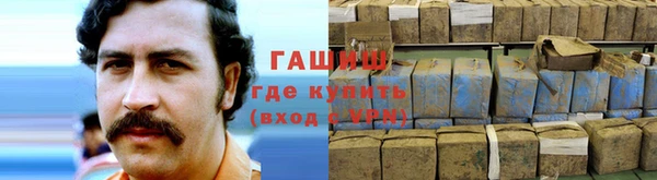 бошки Белокуриха