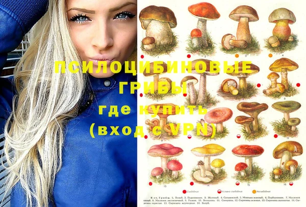 бошки Белокуриха