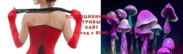 бошки Белокуриха