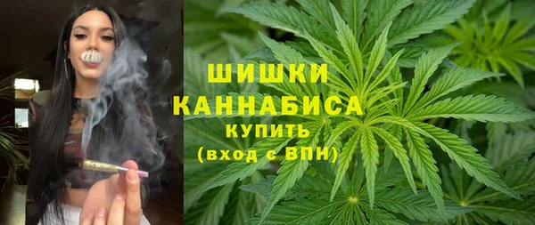 бошки Белокуриха