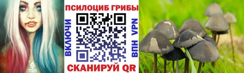 ОМГ ОМГ зеркало  Буйнакск  Галлюциногенные грибы мицелий 